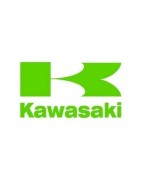 F3D Plastic - KAWASAKI