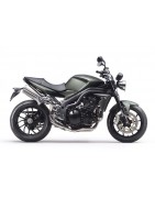 Speed Triple 2005-2010