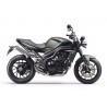 Speed Triple 2005-2010
