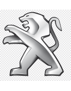 F3D Plastic - Peugeot